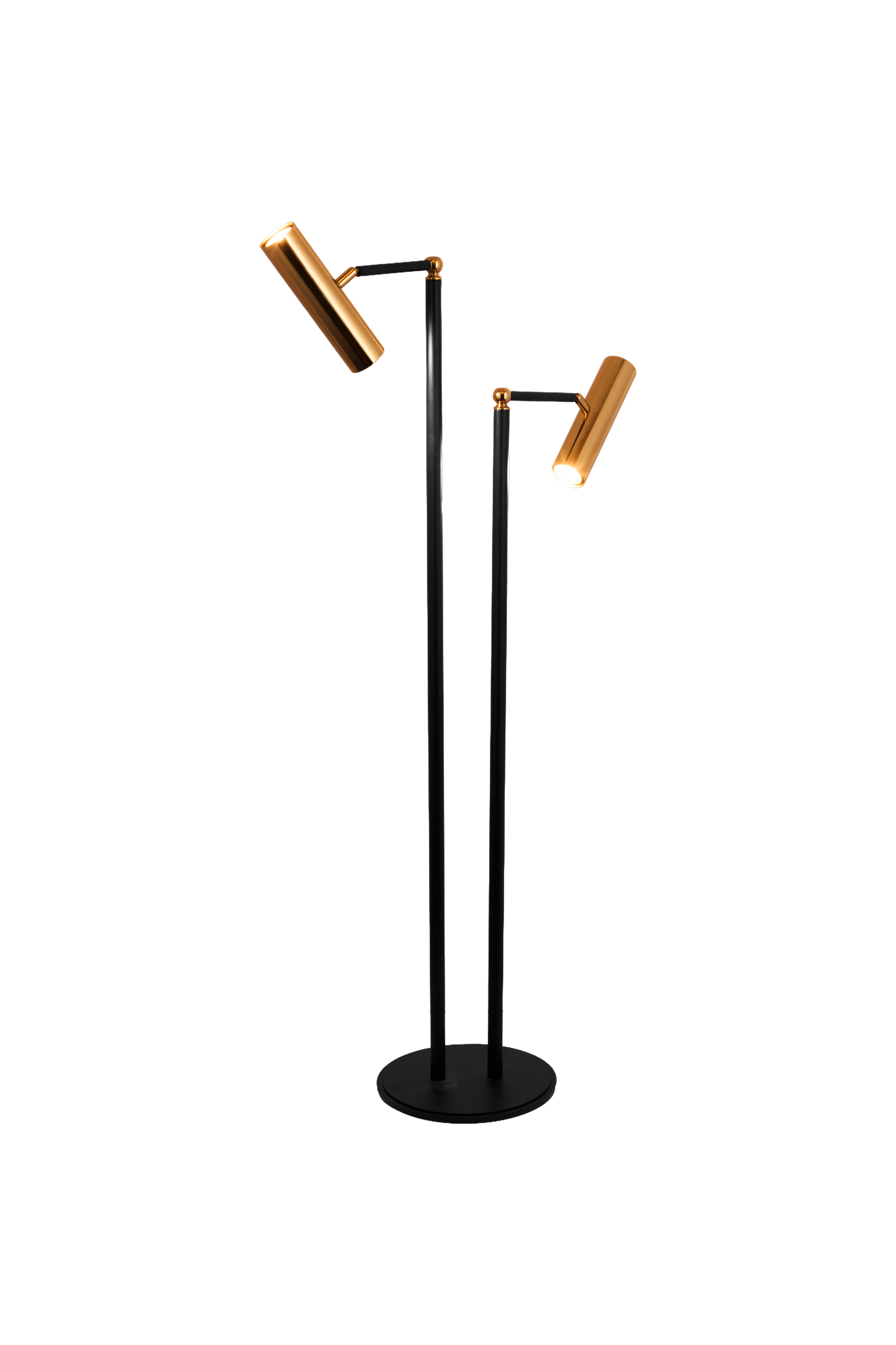 Duel Arm Floor Lamp