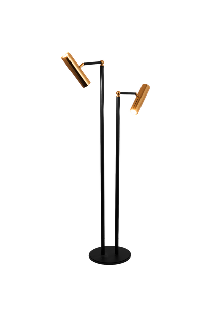 Duel Arm Floor Lamp