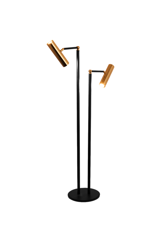 Duel Arm Floor Lamp